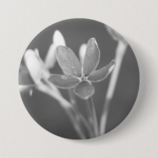 Jasmine Button (Vorderseite)