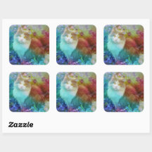 Jasmine die Kitty