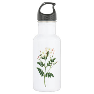 Jasmine (Jasminum grandiflorum) von Redouté Edelstahlflasche