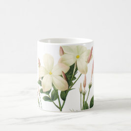 Jasmine (Jasminum grandiflorum) von Redouté Kaffeetasse