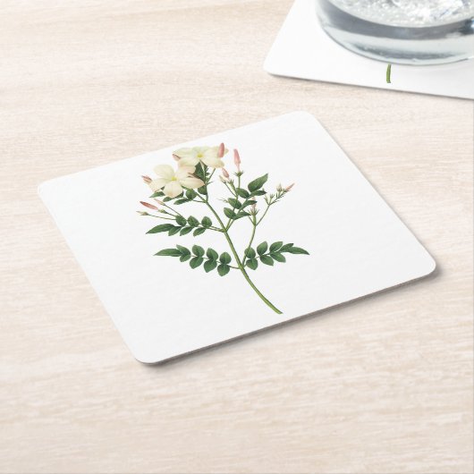 Jasmine (Jasminum grandiflorum) von Redouté Rechteckiger Pappuntersetzer (angewinkelt)