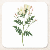 Jasmine (Jasminum grandiflorum) von Redouté Rechteckiger Pappuntersetzer (Vorderseite)