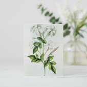 Jasmine, "La Guirlande de Julie" Postkarte (Stehend Vorderseite)