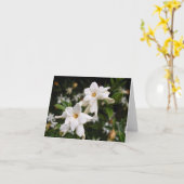 Jasmine Note Card Karte (Gelbe Blume)