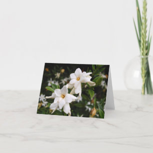 Jasmine Note Card Karte