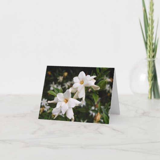 Jasmine Note Card Karte (Vorderseite)