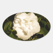 Jasmine Ovaler Aufkleber (Vorderseite)