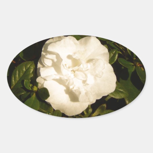 Jasmine Ovaler Aufkleber (Vorderseite)