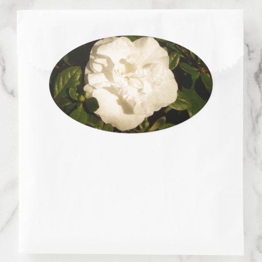 Jasmine Ovaler Aufkleber (Tasche)