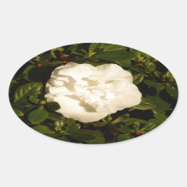 Jasmine Ovaler Aufkleber