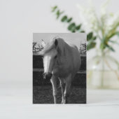 Jasmine Postkarte (Stehend Vorderseite)