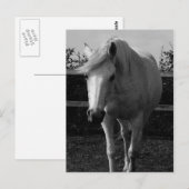 Jasmine Postkarte (Vorne/Hinten)