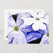 Jasmine Postkarte (Vorne/Hinten)