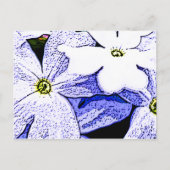 Jasmine Postkarte (Vorderseite)