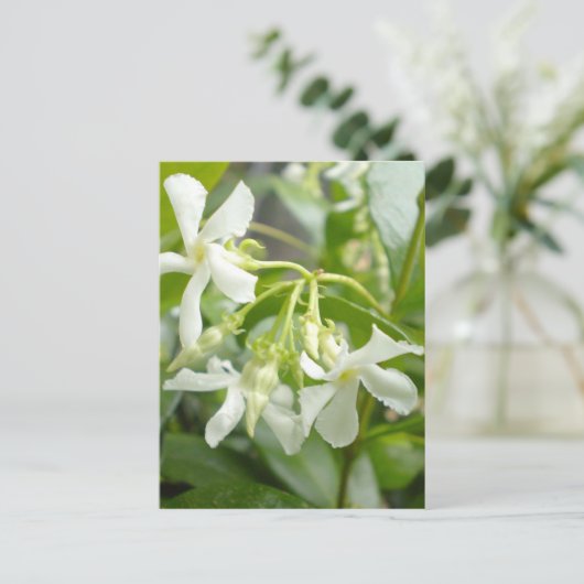 Jasmine Postkarte (Stehend Vorderseite)