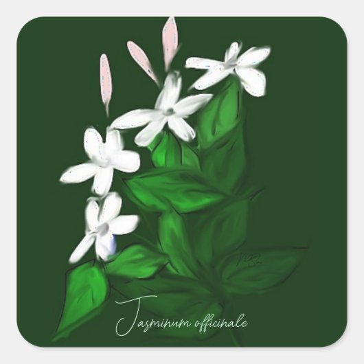 Jasmine Quadratischer Aufkleber (Vorderseite)