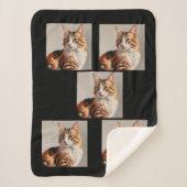 Jasmine the Calico Cat painting Sherpadecke (Vorderseite)