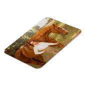 Jasmine the Horse (von Algernon Talmage) Magnet (Linke Seite)