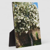 Jasmine Tree in Bloom Fotoplatte (Seite)