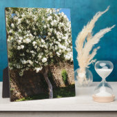 Jasmine Tree in Bloom Fotoplatte (Seite)