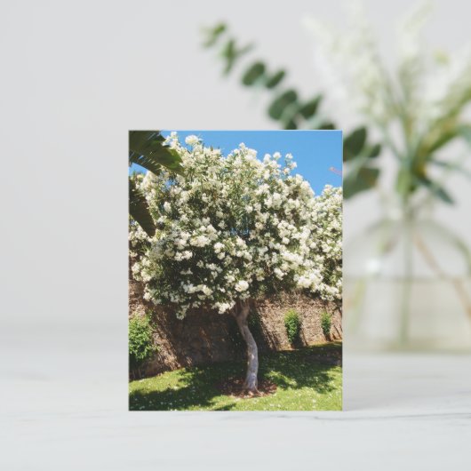 Jasmine Tree in Bloom Postkarte (Stehend Vorderseite)