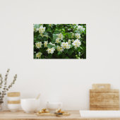 Jasminische Blume im Garten Poster (Küche)