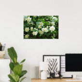 Jasminische Blume im Garten Poster (Heimbüro)