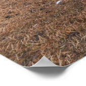 Jasper Alberta Ansicht von Zügen und Schnee begren Poster (Ecke)