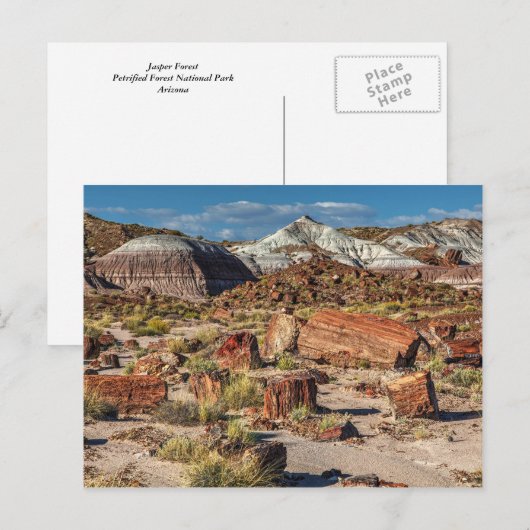Jasper Forest Postkarte (Vorne/Hinten)