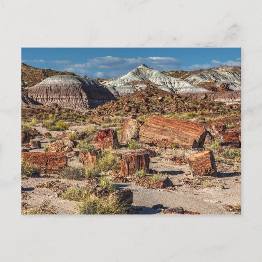 Jasper Forest Postkarte (Vorderseite)