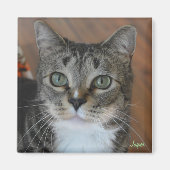 Jasper Magnet (Vorne)