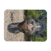 Jasper Magnet (Horizontal)