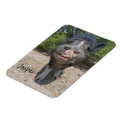 Jasper Magnet (Linke Seite)