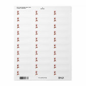 Jasper-n-Friends-Adressetiketten (Vorne)