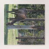 Jasper National Park, Alberta Canada Puzzle (Horizontal)