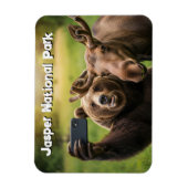 Jasper National Park Bear Moose Selfie Kanada Magnet (Vertikal)