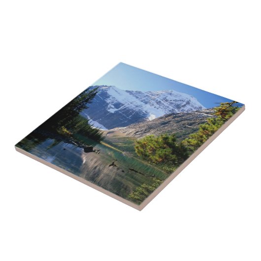 Jasper-Nationalpark, Alberta Fliese (Seite)