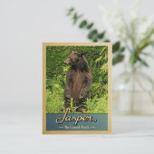 Jasper Nationalpark Vintage Reisebär Postkarte (Stehend Vorderseite)