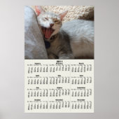 Jasper Yawning Kitten 2011 Calendar Poster (Vorne)