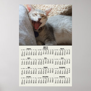 Jasper Yawning Kitten 2011 Calendar Poster
