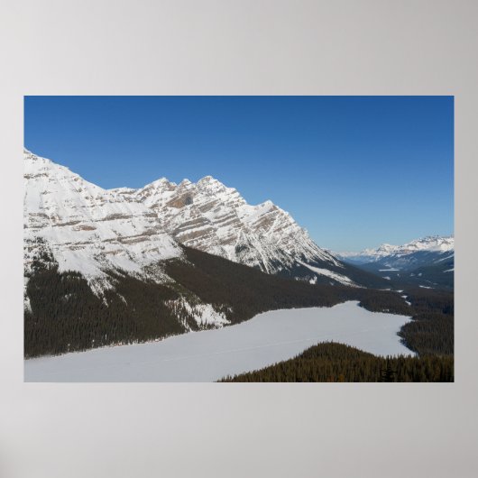 Jasper's Snowy Peyto Lake Poster (Vorne)
