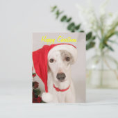 Jaspis der Weihnachtshund Feiertagspostkarte (Stehend Vorderseite)