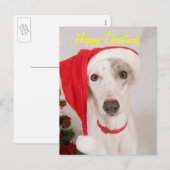Jaspis der Weihnachtshund Feiertagspostkarte (Vorne/Hinten)