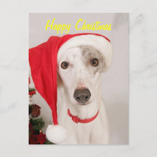 Jaspis der Weihnachtshund Feiertagspostkarte (Vorderseite)