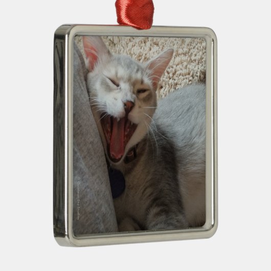 Jaspis-gähnende Silbernes Ornament (Rechts)