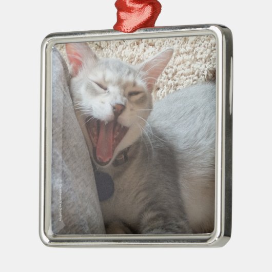 Jaspis-gähnende Silbernes Ornament (Links)