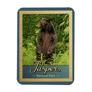 Jaspis-Nationalpark-Vintager Reise-Bär Magnet