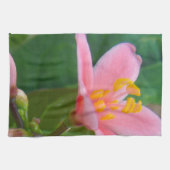 Jatropha Blume Closeup Geschirrtuch (Horizontal)