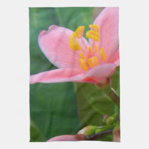 Jatropha Blume Closeup Geschirrtuch