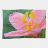 Jatropha Blume Closeup Küchentuch (Horizontal)